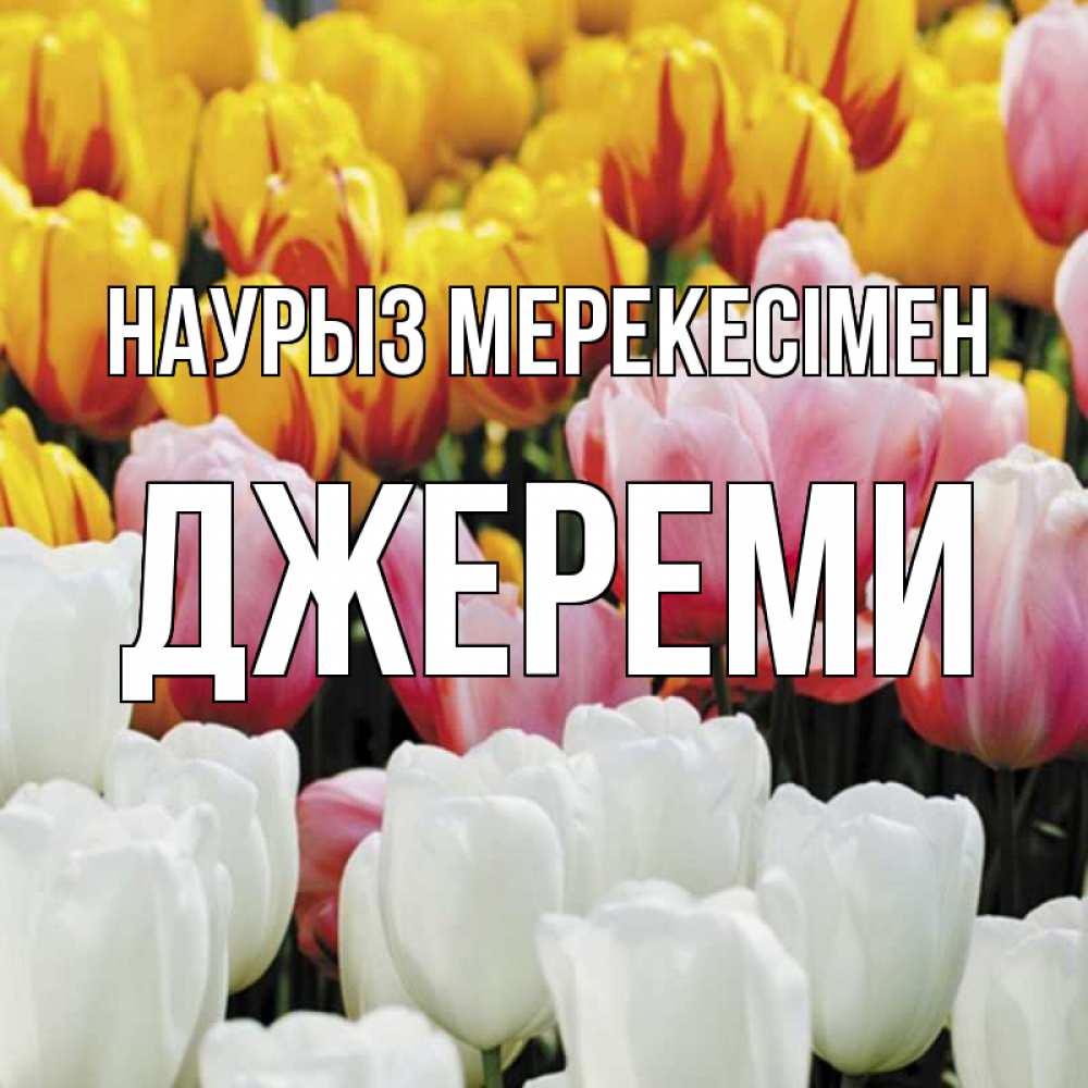 Күн сайын ашық хат с именем, Джереми Наурыз мерекесімен разноцветные цветы Онлайн тегін жүктеп алу тілектері бар керемет карта 
