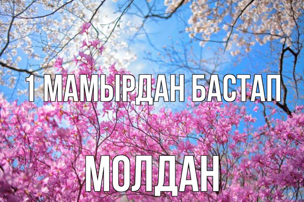Күн сайын ашық хат с именем, МОЛДАН 1 мамырдан бастап С 1 мая Онлайн тегін жүктеп алу тілектері бар керемет карта 