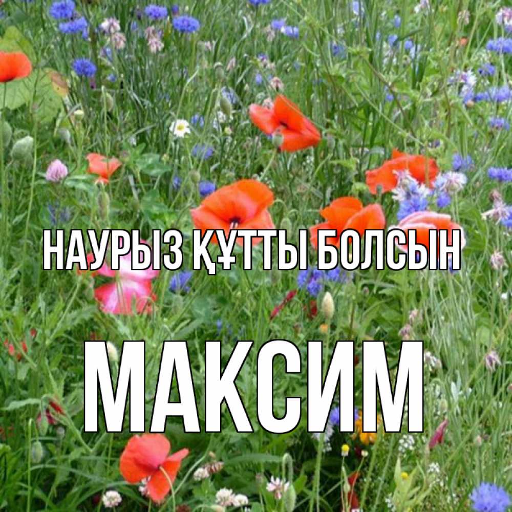 Күн сайын ашық хат с именем, Максим Наурыз құтты болсын наурыз  4 Онлайн тегін жүктеп алу тілектері бар керемет карта 