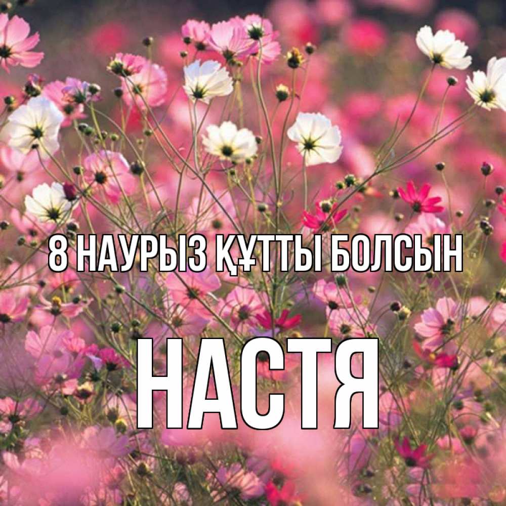 Күн сайын ашық хат с именем, Настя 8 наурыз құтты болсын красиво 1 Онлайн тегін жүктеп алу тілектері бар керемет карта 