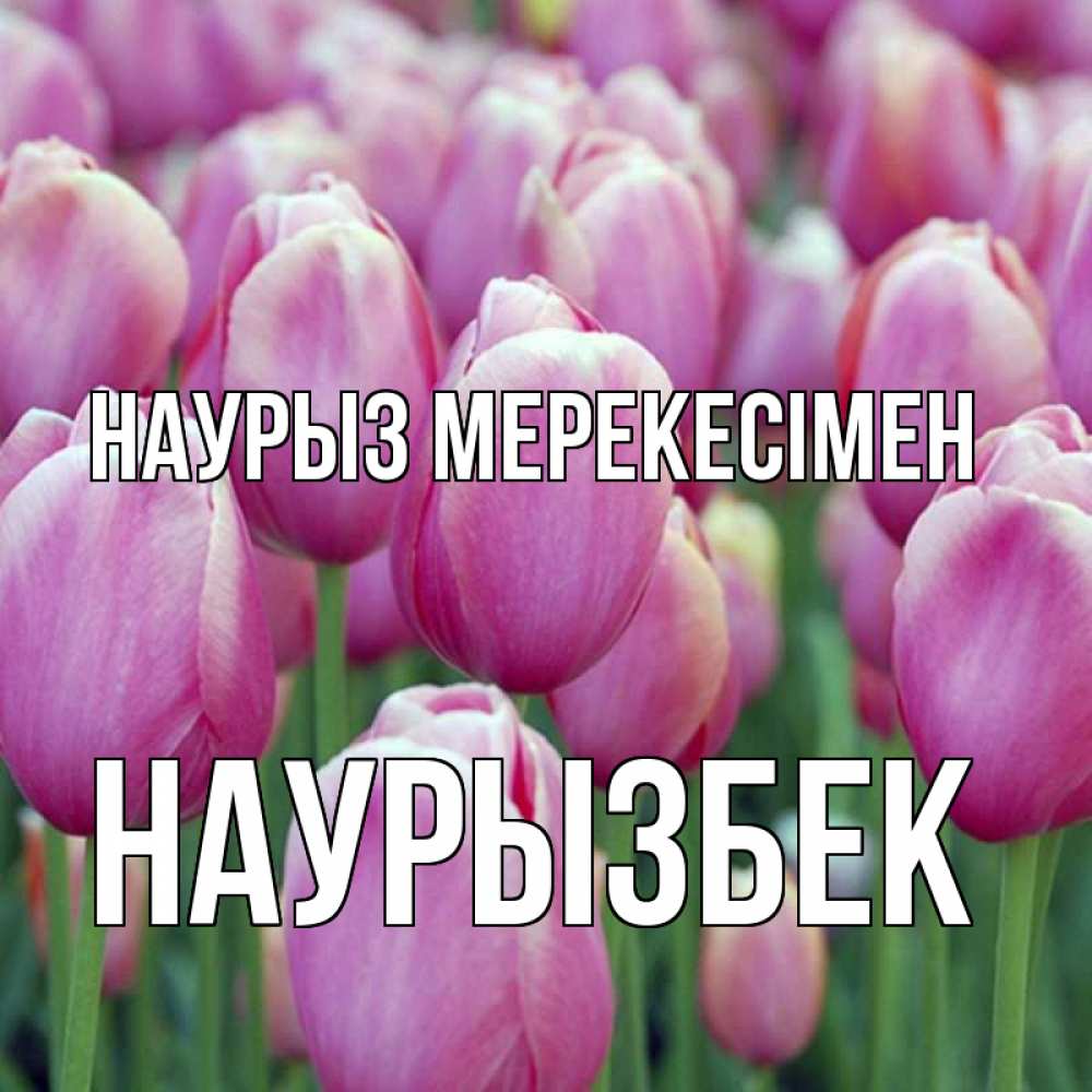Күн сайын ашық хат с именем, Наурызбек Наурыз мерекесімен праздник весны наурыз 69 Онлайн тегін жүктеп алу тілектері бар керемет карта 