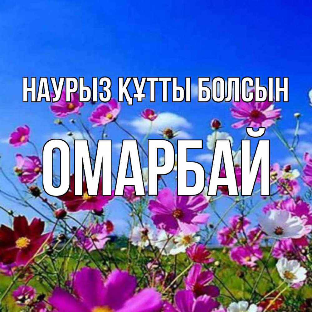 Күн сайын ашық хат с именем, ОМАРБАЙ Наурыз құтты болсын цветы Онлайн тегін жүктеп алу тілектері бар керемет карта 