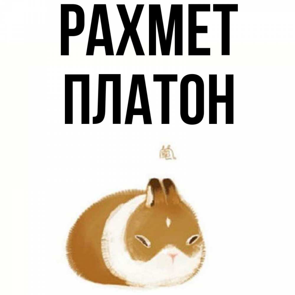 Күн сайын ашық хат с именем, Платон рахмет коричнево белый домашний питомец Онлайн тегін жүктеп алу тілектері бар керемет карта 