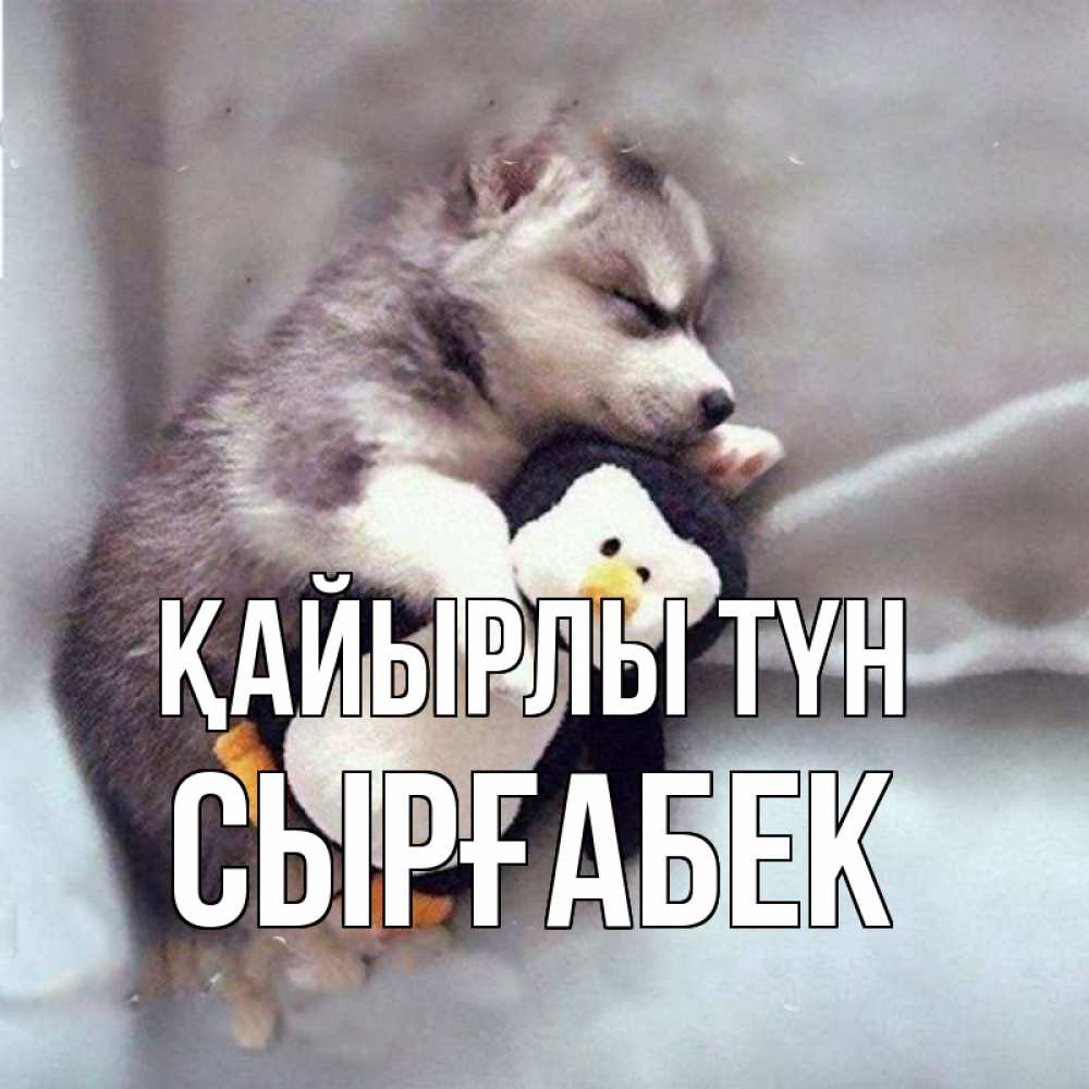 Күн сайын ашық хат с именем, СЫРҒАБЕК Қайырлы түн обнимашки щенка и пингвина Онлайн тегін жүктеп алу тілектері бар керемет карта 