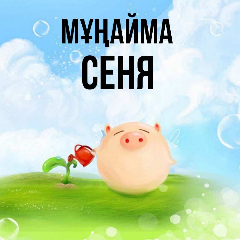 Күн сайын ашық хат с именем, Сеня Мұңайма поливает цветок порося Онлайн тегін жүктеп алу тілектері бар керемет карта 