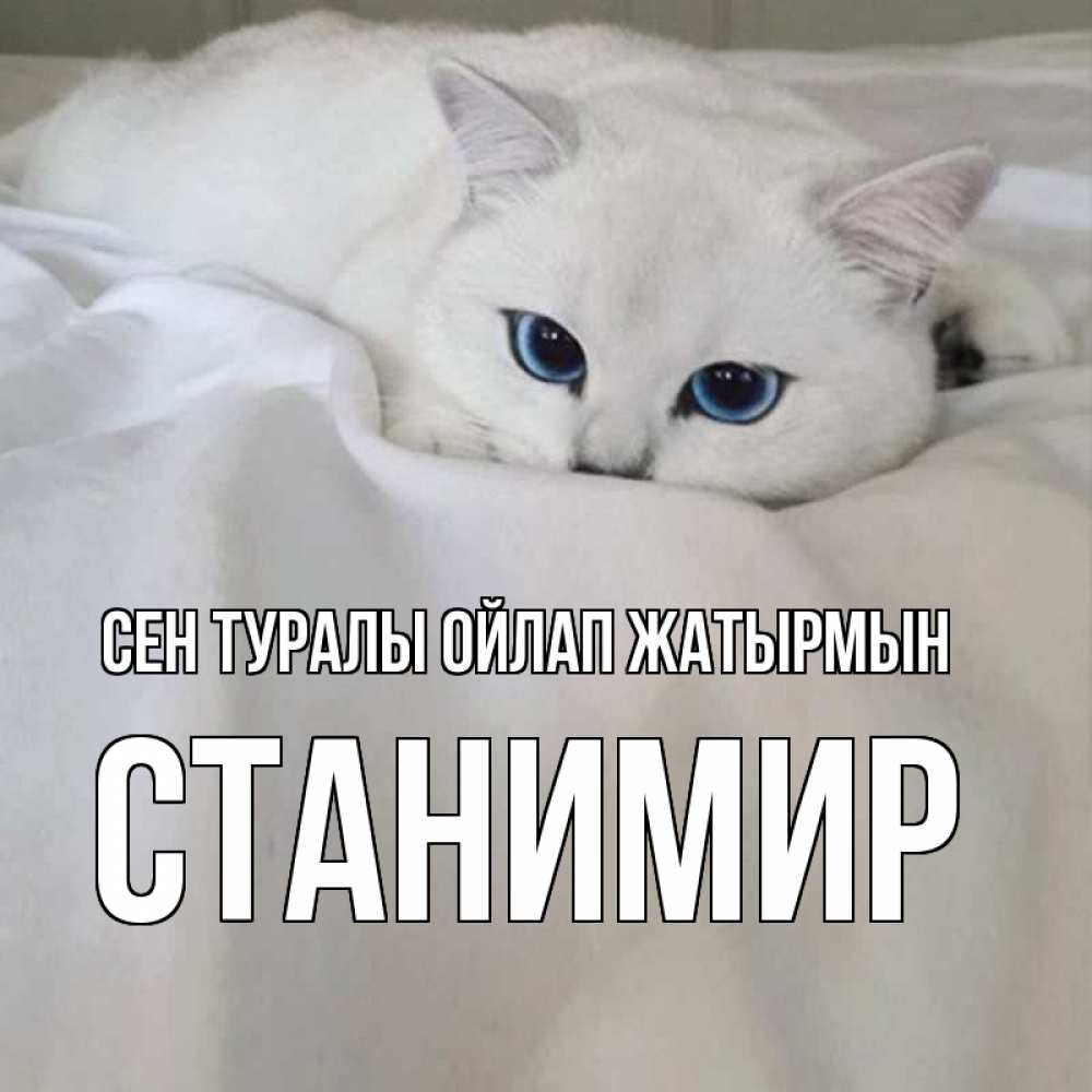 Күн сайын ашық хат с именем, Станимир Сен туралы ойлап жатырмын я очень по тебе скучаю и тоскую Онлайн тегін жүктеп алу тілектері бар керемет карта 