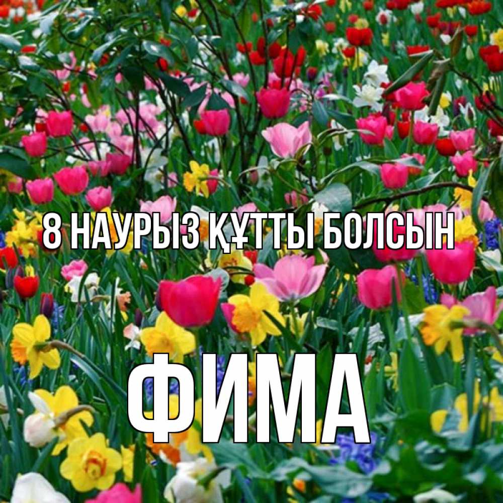 Күн сайын ашық хат с именем, Фима 8 наурыз құтты болсын с международным женским днем поздравления для женщины Онлайн тегін жүктеп алу тілектері бар керемет карта 