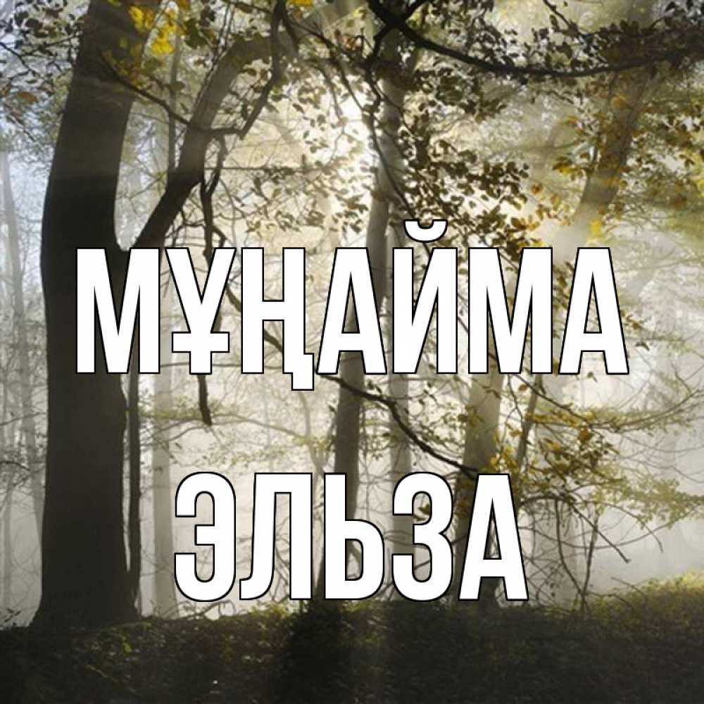 Күн сайын ашық хат с именем, Эльза Мұңайма лес и свет Онлайн тегін жүктеп алу тілектері бар керемет карта 