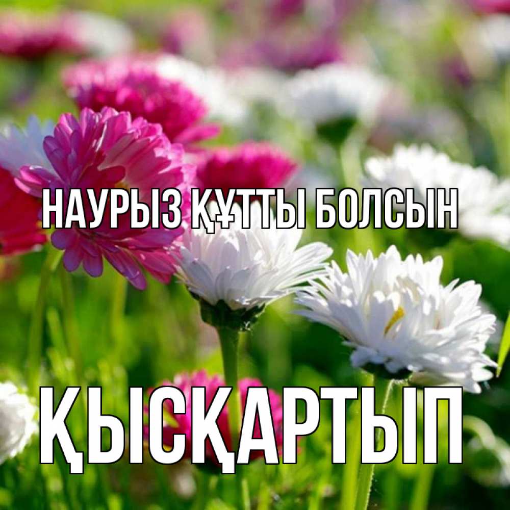 Күн сайын ашық хат с именем, Қысқартып Наурыз құтты болсын наурыз Онлайн тегін жүктеп алу тілектері бар керемет карта 