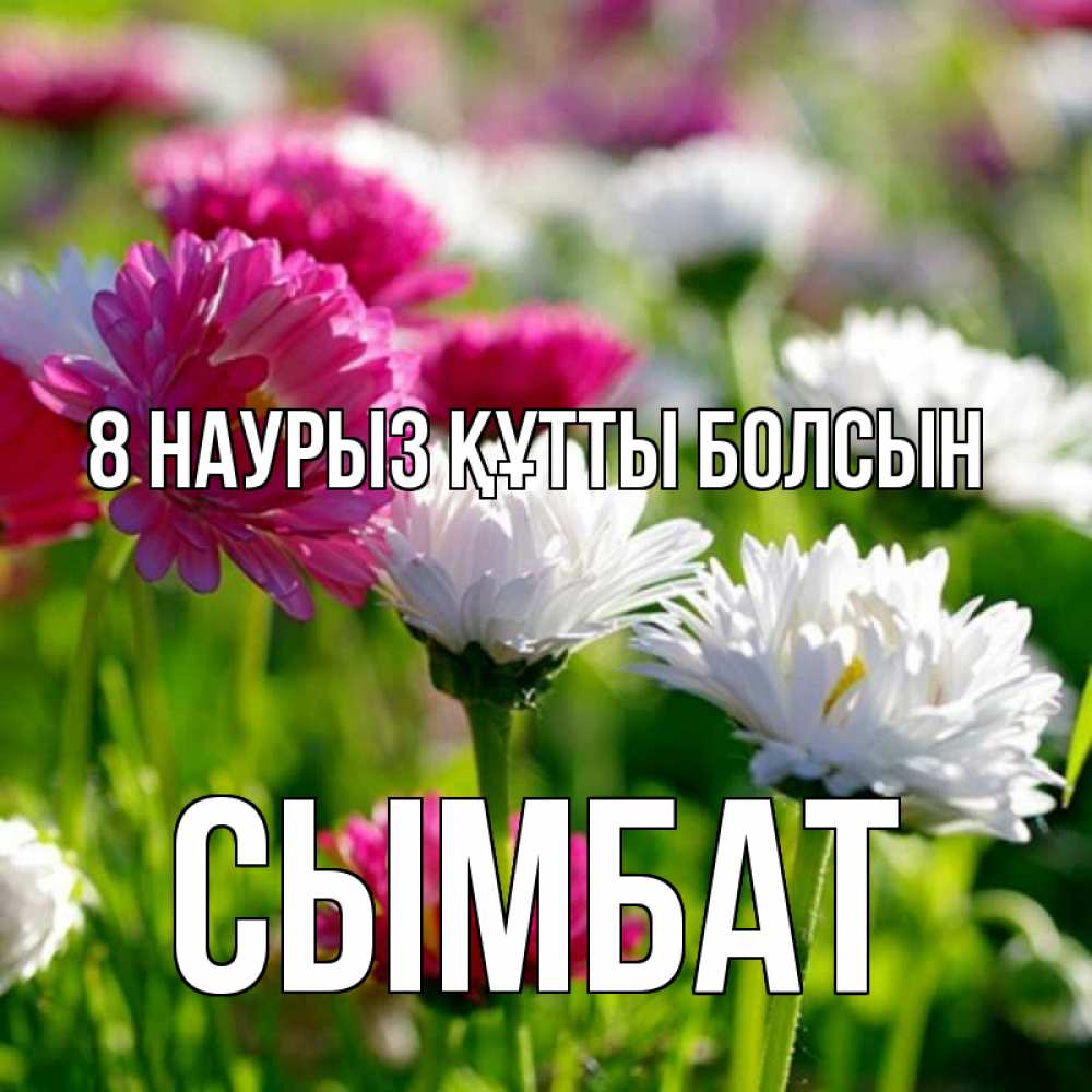 Күн сайын ашық хат с именем, СЫМБАТ 8 наурыз құтты болсын международный женский день 1 Онлайн тегін жүктеп алу тілектері бар керемет карта 