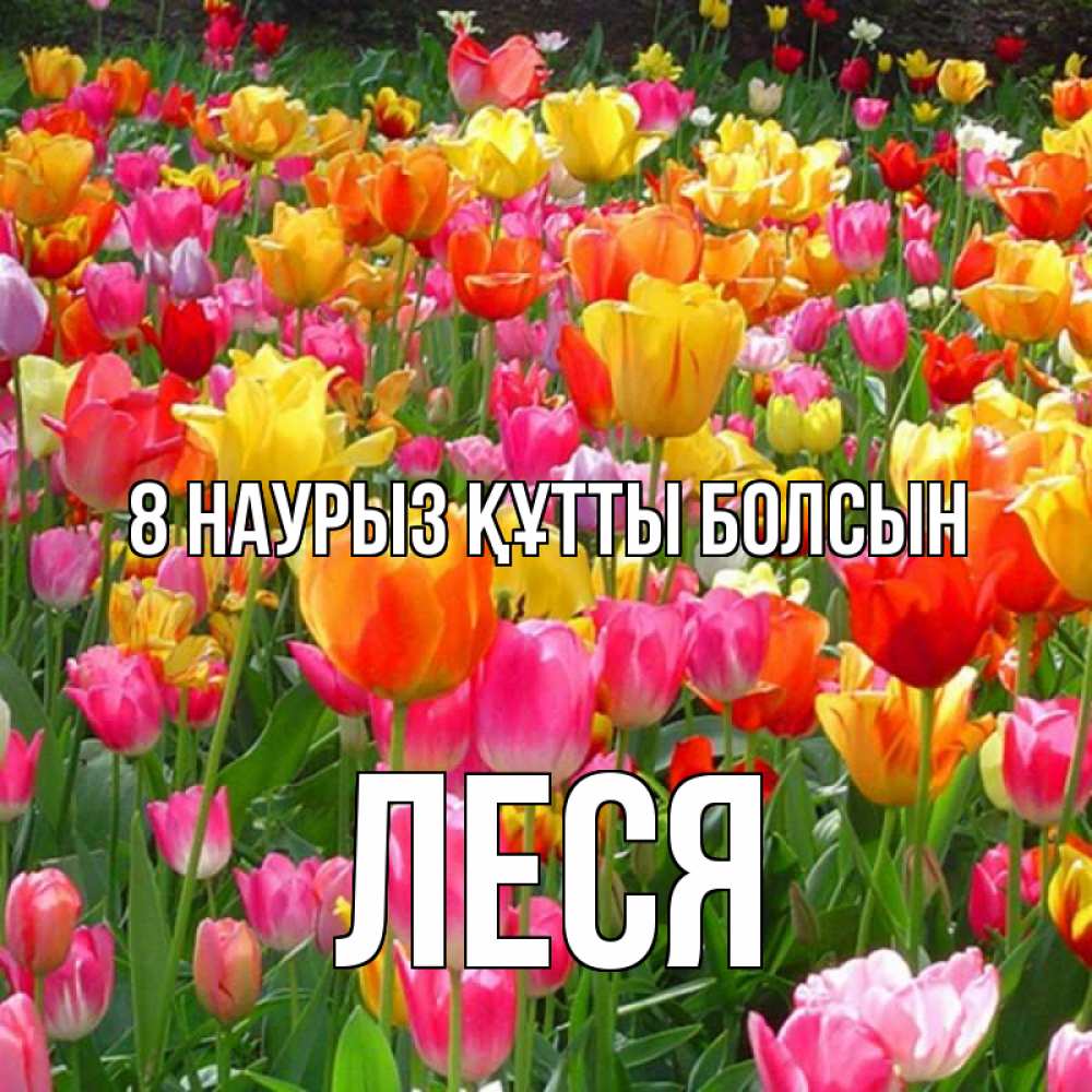 Күн сайын ашық хат с именем, Леся 8 наурыз құтты болсын на международный женский день Онлайн тегін жүктеп алу тілектері бар керемет карта 