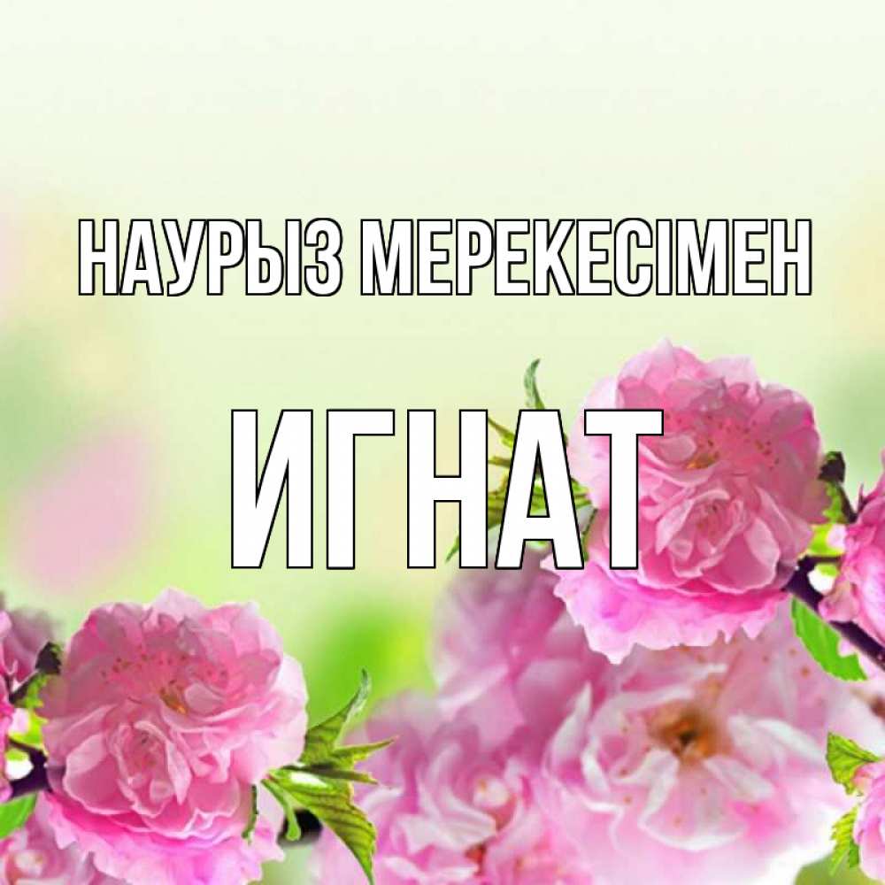 Күн сайын ашық хат с именем, Игнат Наурыз мерекесімен цветы Онлайн тегін жүктеп алу тілектері бар керемет карта 