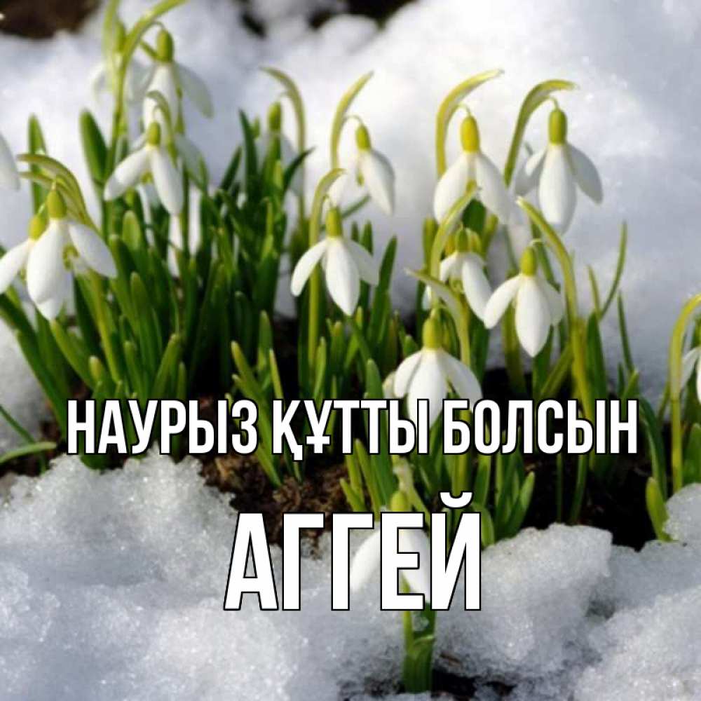 Күн сайын ашық хат с именем, Аггей Наурыз құтты болсын цветы весенние Онлайн тегін жүктеп алу тілектері бар керемет карта 