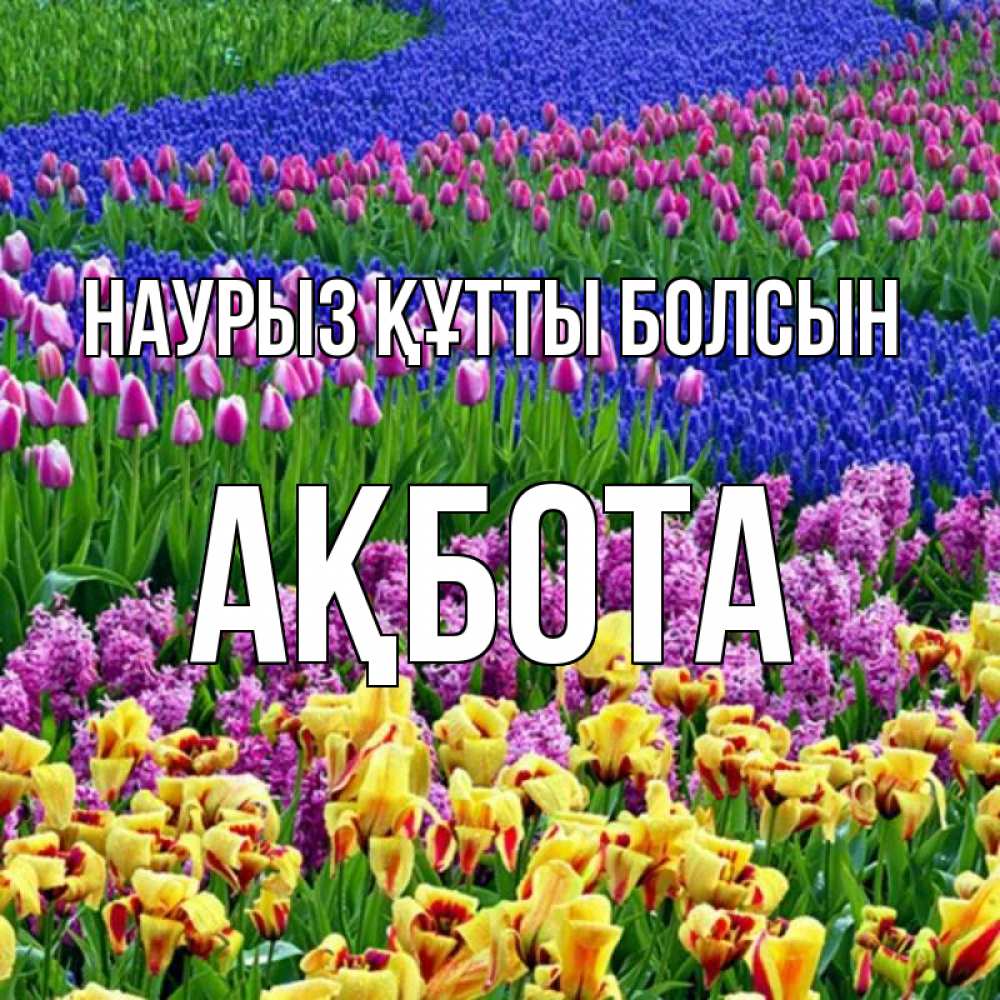 Күн сайын ашық хат с именем, Ақбота Наурыз құтты болсын цветы Онлайн тегін жүктеп алу тілектері бар керемет карта 