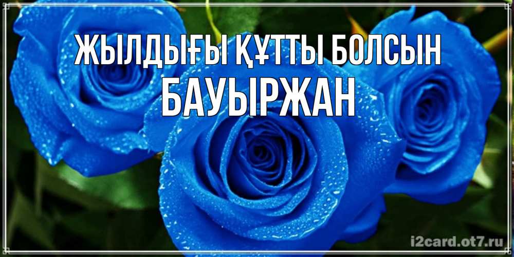Күн сайын ашық хат с именем, Бауыржан Жылдығы құтты болсын розы с синим цветом Онлайн тегін жүктеп алу тілектері бар керемет карта 