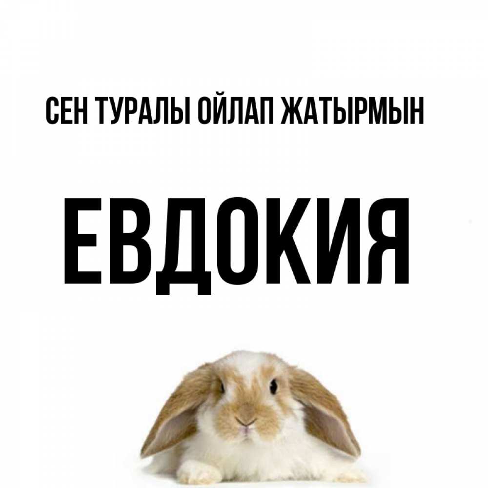 Күн сайын ашық хат с именем, Евдокия Сен туралы ойлап жатырмын подписать своими руками онлайн Онлайн тегін жүктеп алу тілектері бар керемет карта 