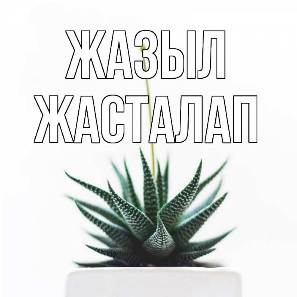 Күн сайын ашық хат с именем, Жасталап Жазыл короче это непонятная колючка Онлайн тегін жүктеп алу тілектері бар керемет карта 