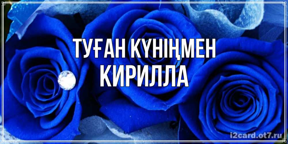 Күн сайын ашық хат с именем, Кирилла Туған күніңмен синие розы в росе Онлайн тегін жүктеп алу тілектері бар керемет карта 