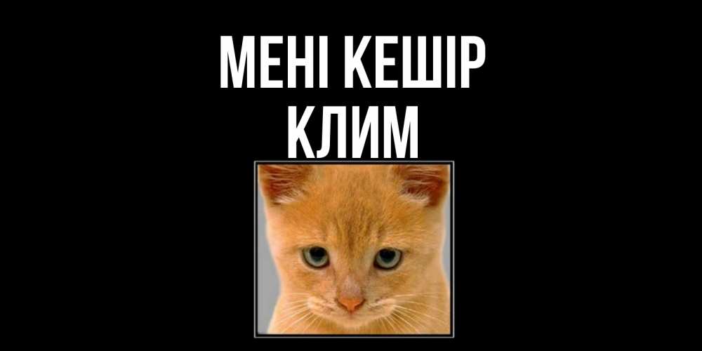 Күн сайын ашық хат с именем, Клим Мені кешір рыжий грустный кот просит прощения Онлайн тегін жүктеп алу тілектері бар керемет карта 