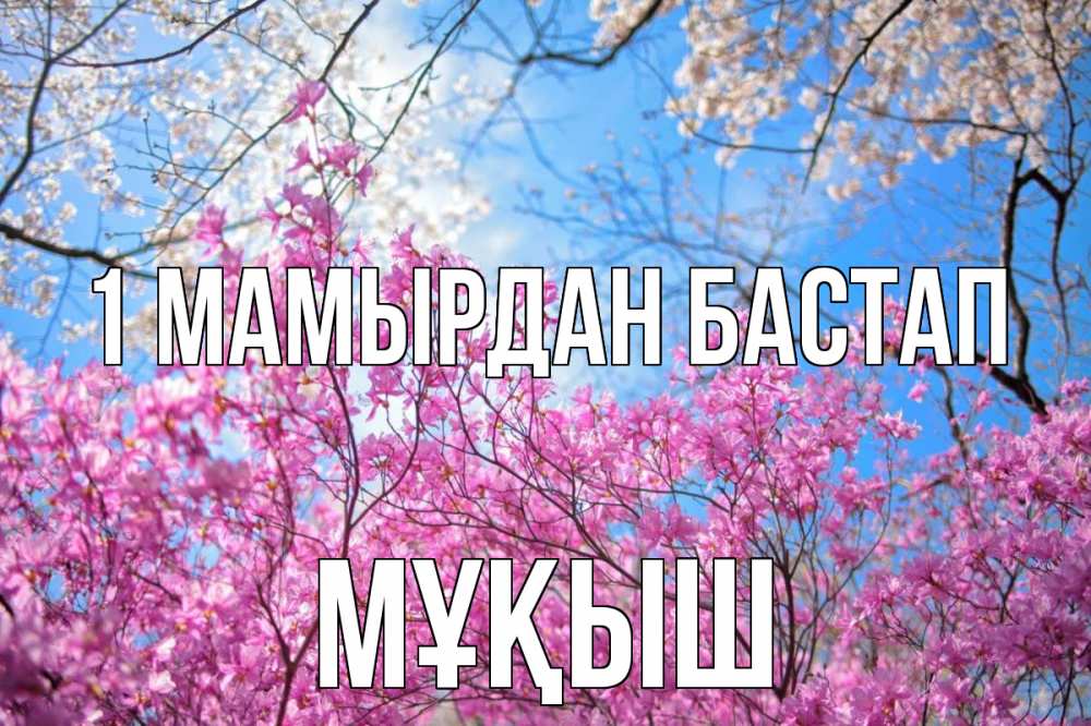 Күн сайын ашық хат с именем, Мұқыш 1 мамырдан бастап С 1 мая Онлайн тегін жүктеп алу тілектері бар керемет карта 
