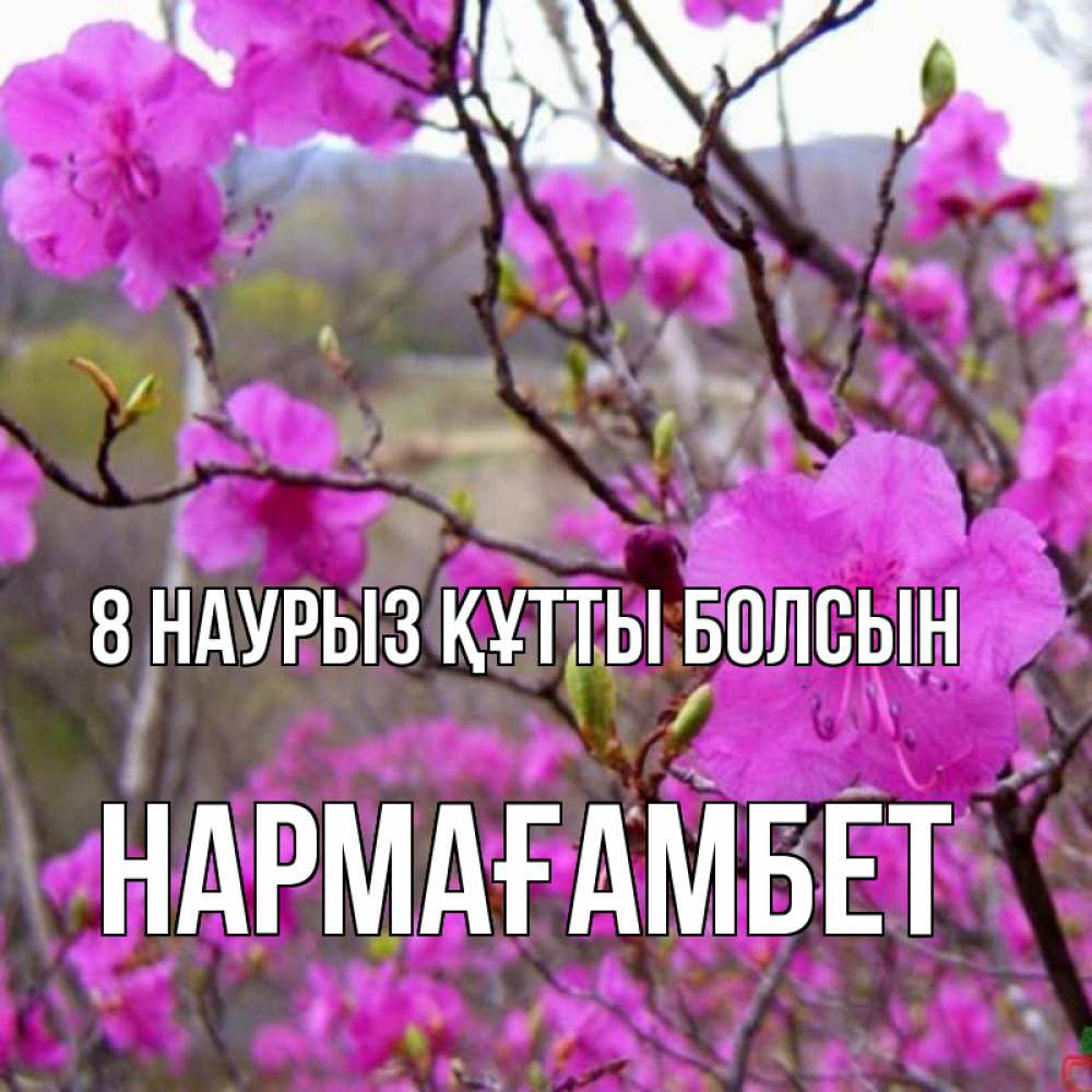 Күн сайын ашық хат с именем, НАРМАҒАМБЕТ 8 наурыз құтты болсын международный женский день Онлайн тегін жүктеп алу тілектері бар керемет карта 