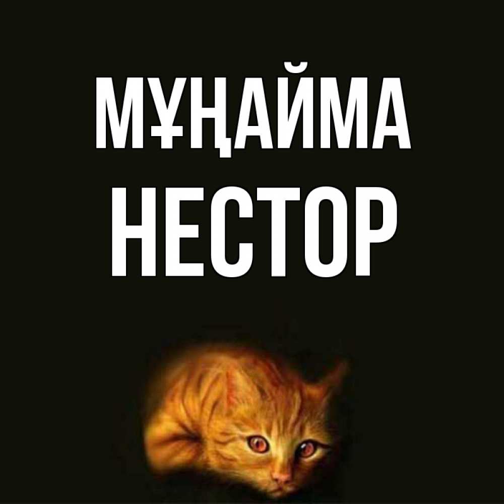 Күн сайын ашық хат с именем, Нестор Мұңайма лежащий кот в темноте Онлайн тегін жүктеп алу тілектері бар керемет карта 