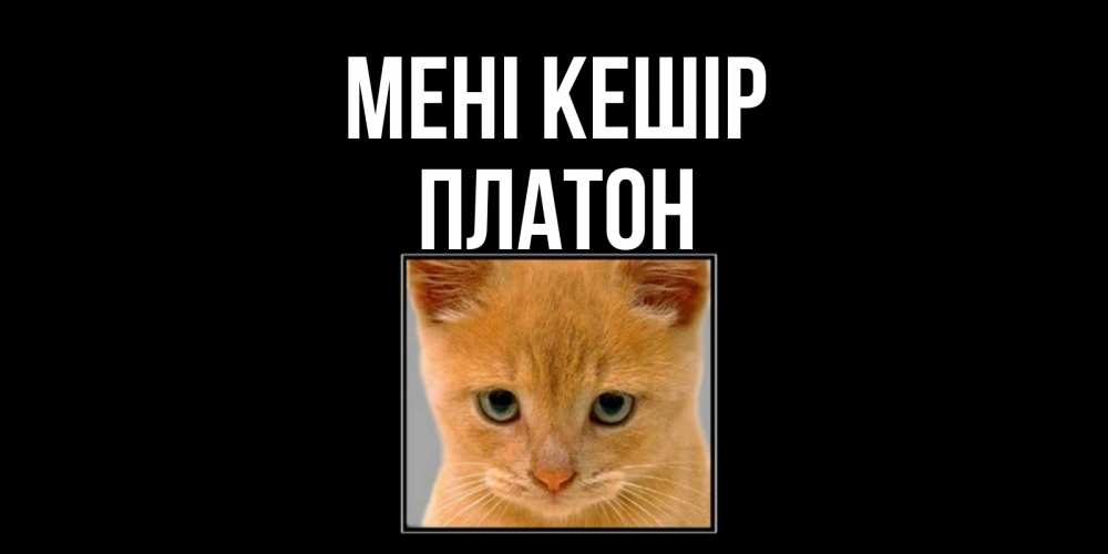 Күн сайын ашық хат с именем, Платон Мені кешір рыжий грустный кот просит прощения Онлайн тегін жүктеп алу тілектері бар керемет карта 