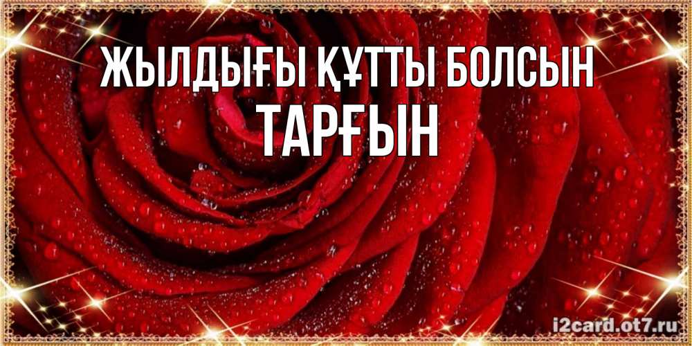 Күн сайын ашық хат с именем, ТАРҒЫН Жылдығы құтты болсын роса на розе блестящая в лучах солнца Онлайн тегін жүктеп алу тілектері бар керемет карта 