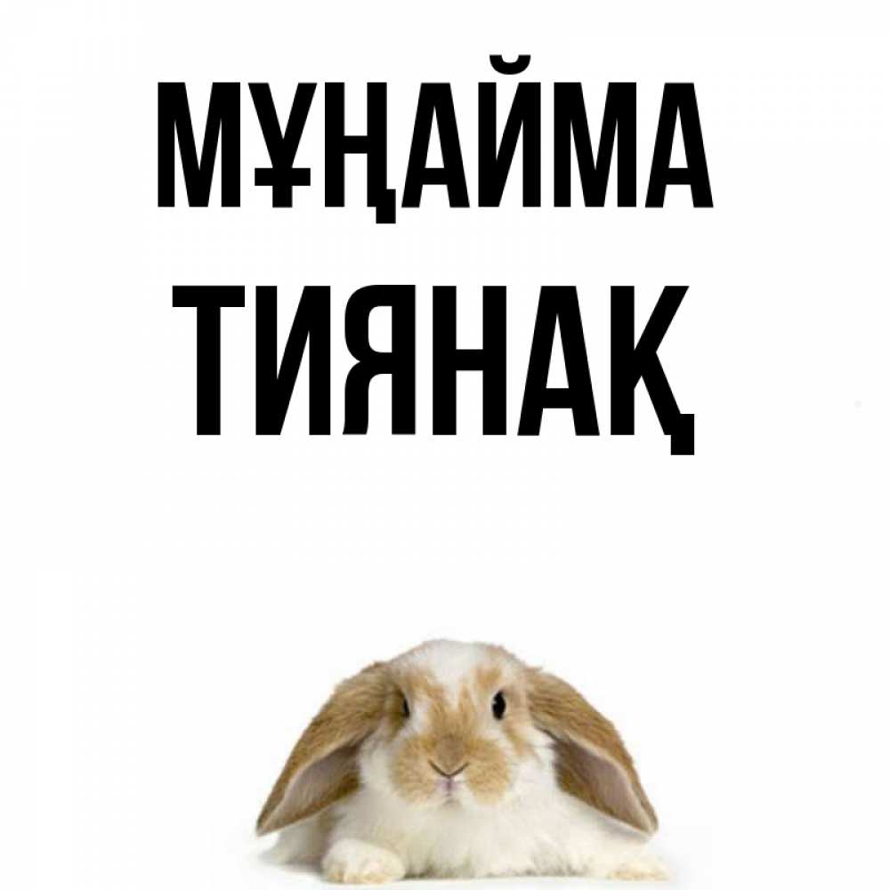 Күн сайын ашық хат с именем, ТИЯНАҚ Мұңайма коричнево белый заяц с большими ушками Онлайн тегін жүктеп алу тілектері бар керемет карта 
