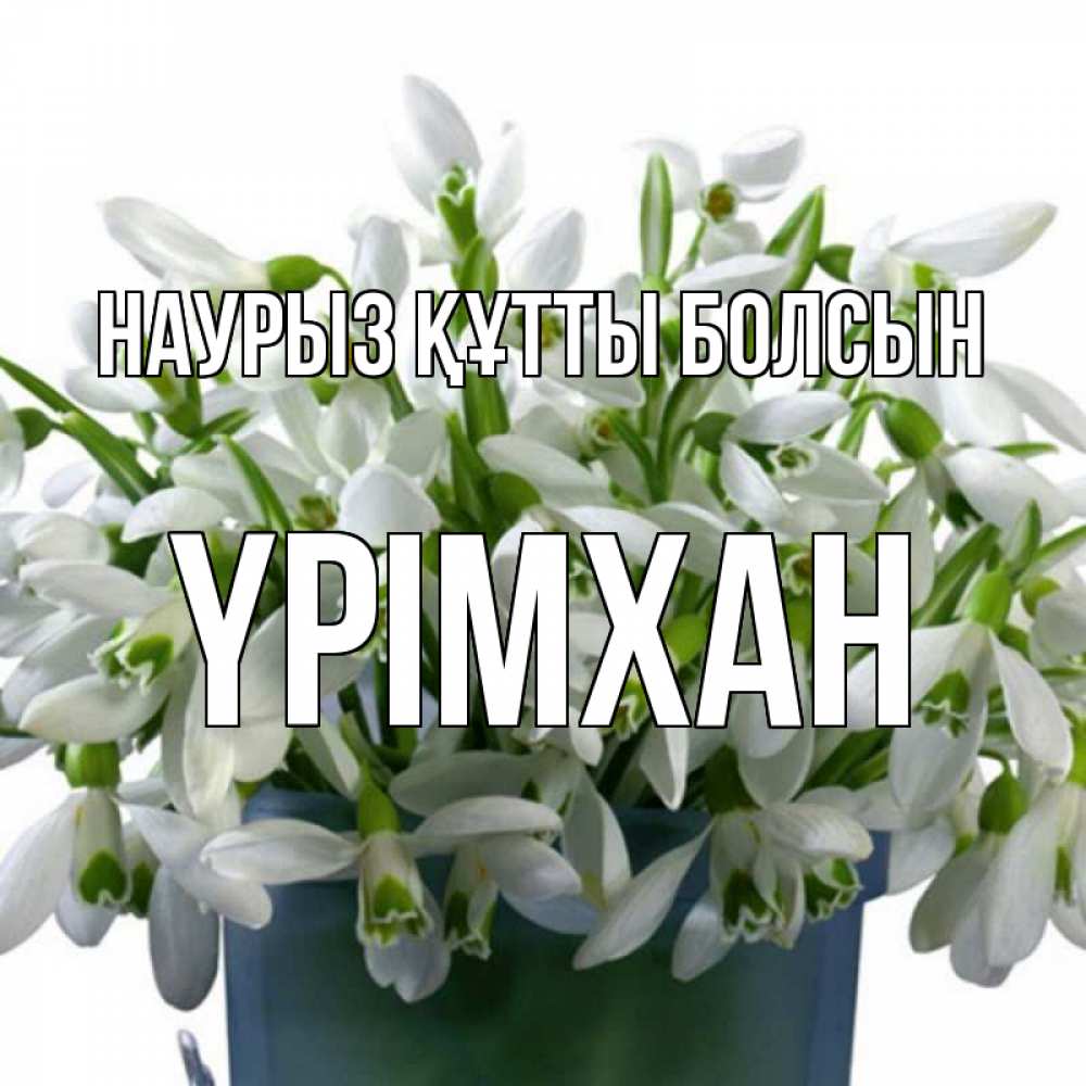 Күн сайын ашық хат с именем, Үрімхан Наурыз құтты болсын цветы к наурызу Онлайн тегін жүктеп алу тілектері бар керемет карта 