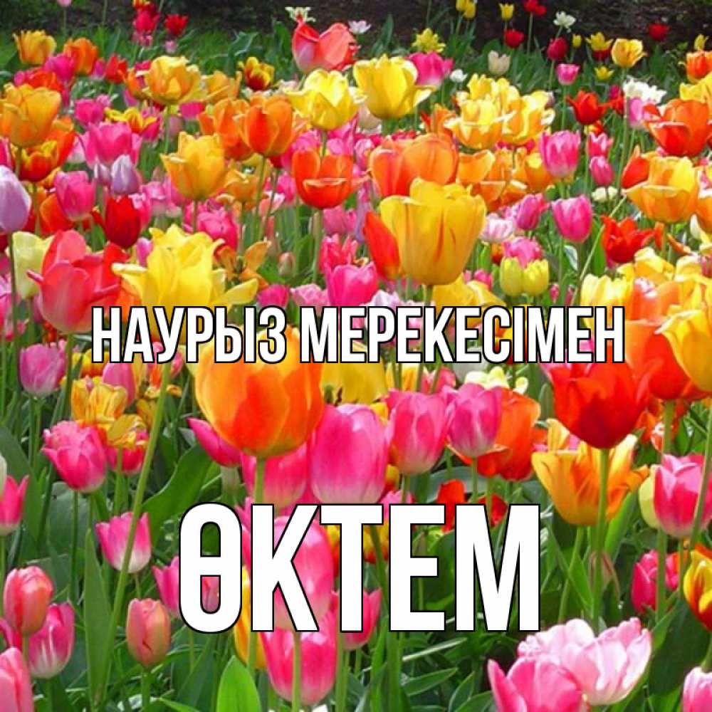 Күн сайын ашық хат с именем, ӨКТЕМ Наурыз мерекесімен праздник весны наурыз 4 Онлайн тегін жүктеп алу тілектері бар керемет карта 