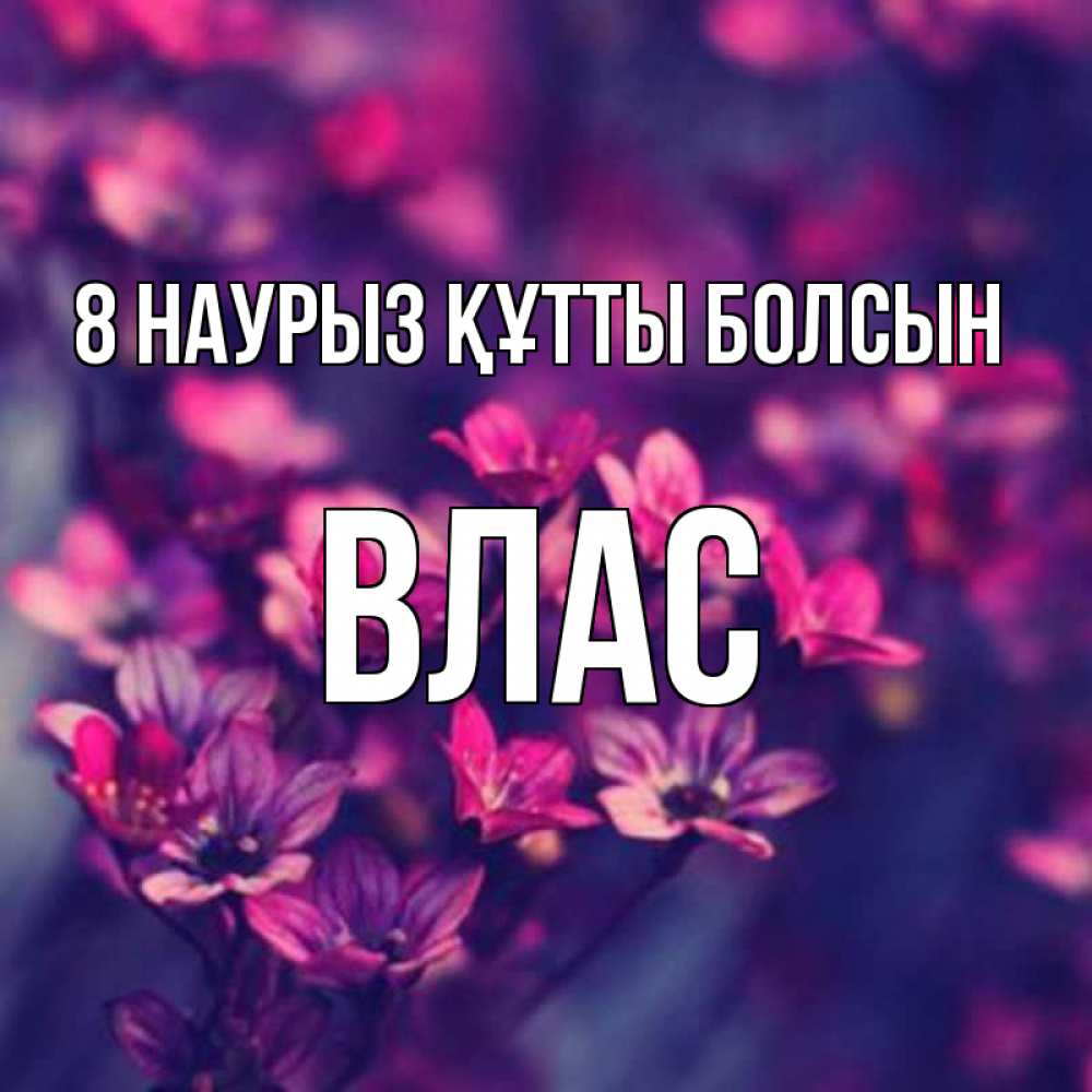Күн сайын ашық хат с именем, Влас 8 наурыз құтты болсын небольшие цветы 1 Онлайн тегін жүктеп алу тілектері бар керемет карта 