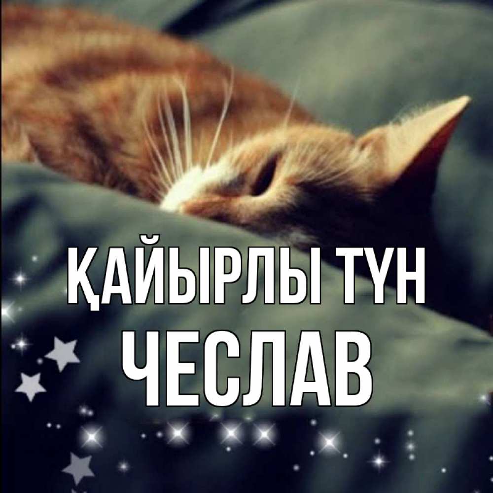 Күн сайын ашық хат с именем, Чеслав Қайырлы түн кроватка Онлайн тегін жүктеп алу тілектері бар керемет карта 