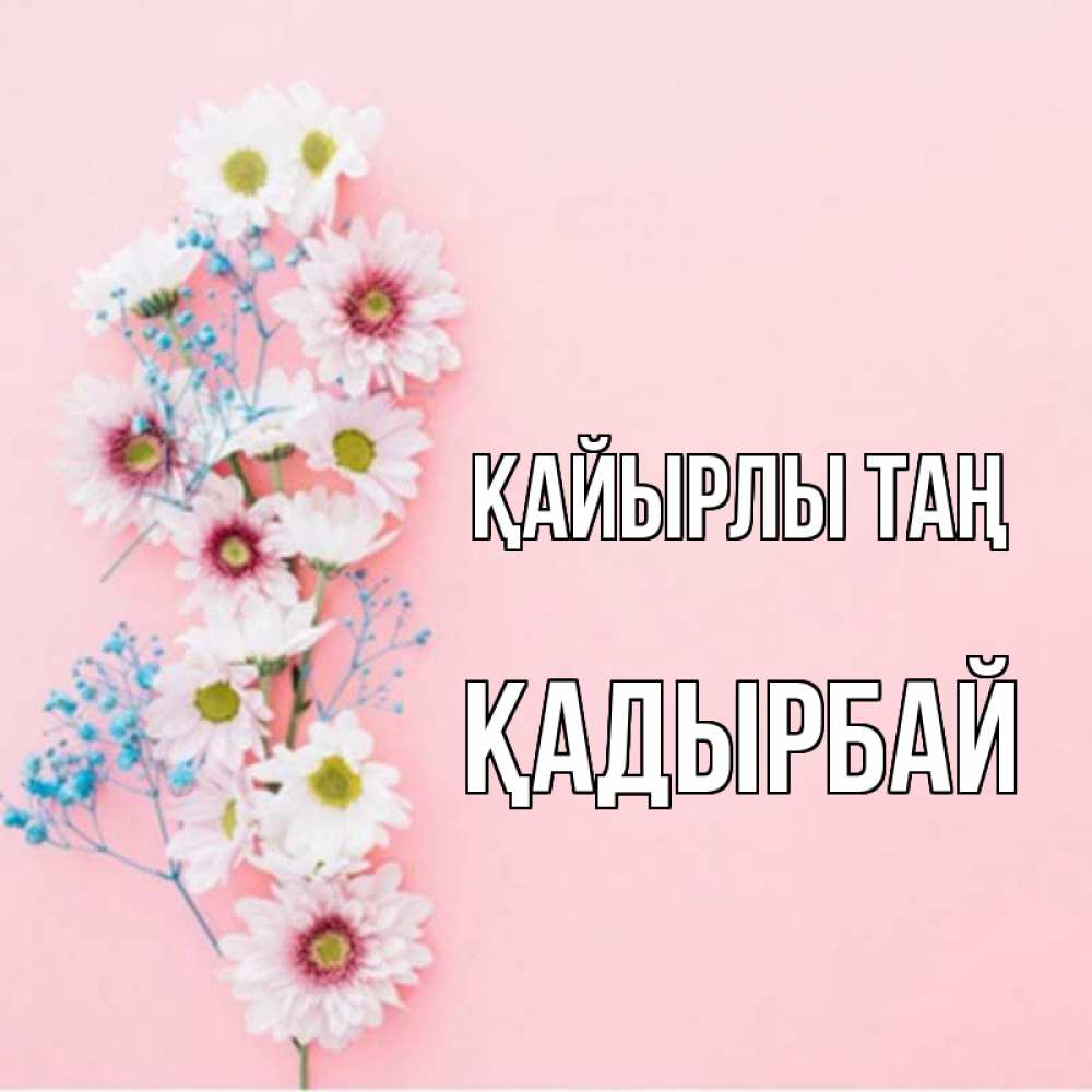 Күн сайын ашық хат с именем, Қадырбай Қайырлы таң цветы с подписью Онлайн тегін жүктеп алу тілектері бар керемет карта 