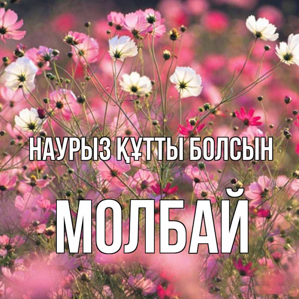 Күн сайын ашық хат с именем, МОЛБАЙ Наурыз құтты болсын красиво 1 Онлайн тегін жүктеп алу тілектері бар керемет карта 