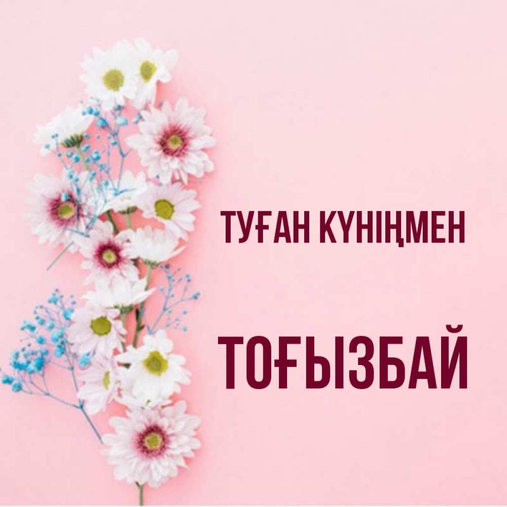 Күн сайын ашық хат с именем, ТОҒЫЗБАЙ Туған күніңмен Родная моя с днем рождения тебя картинка с цветами белыми и голубыми Онлайн тегін жүктеп алу тілектері бар керемет карта 