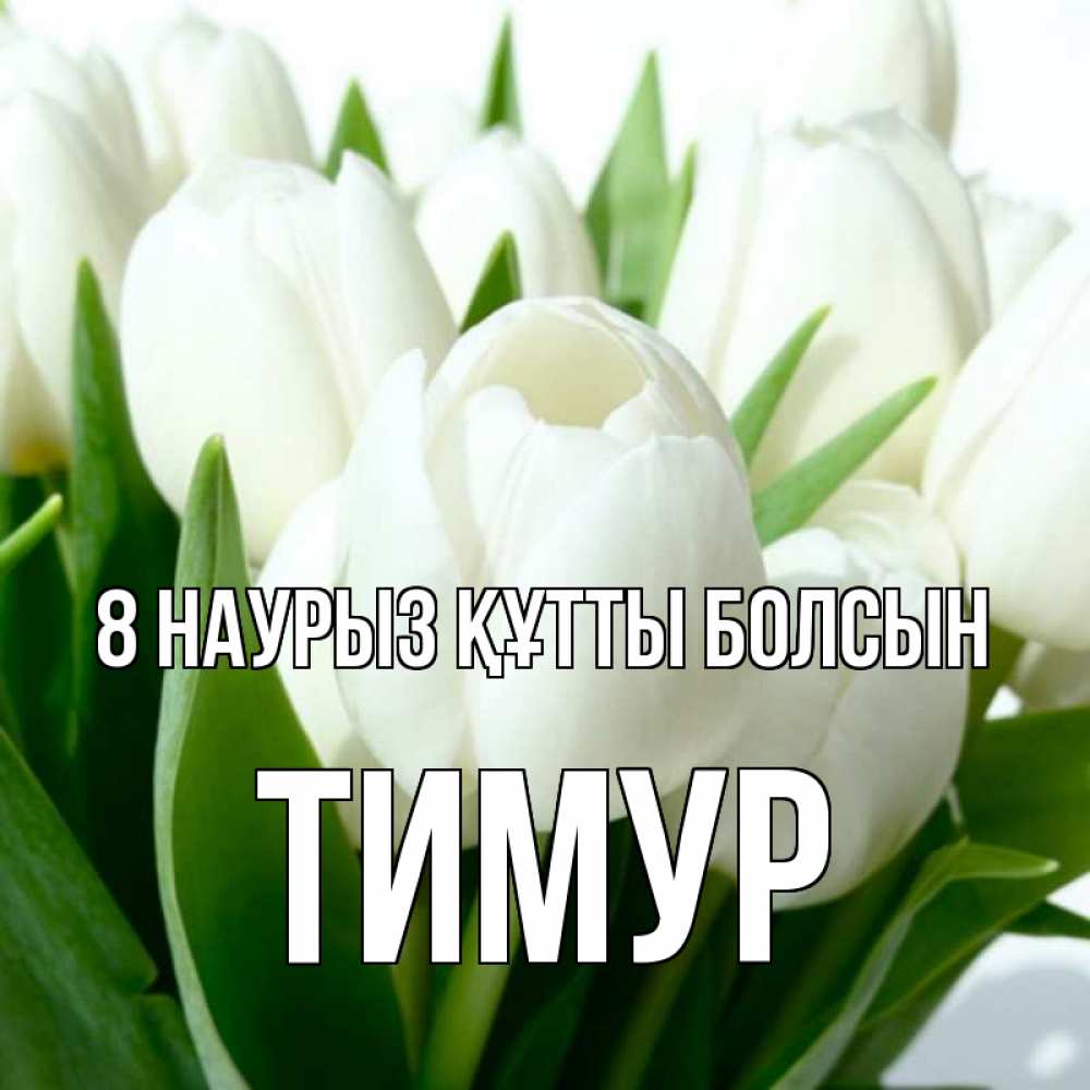 Күн сайын ашық хат с именем, Тимур 8 наурыз құтты болсын цветы Онлайн тегін жүктеп алу тілектері бар керемет карта 
