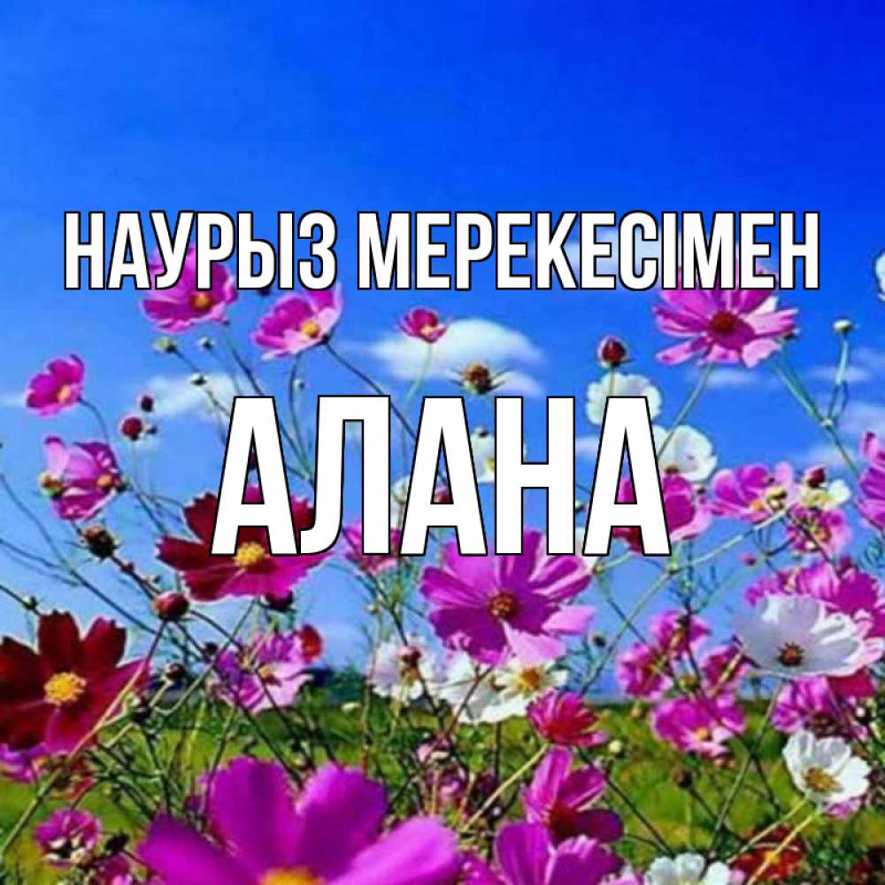 Күн сайын ашық хат с именем, Алана Наурыз мерекесімен цветы Онлайн тегін жүктеп алу тілектері бар керемет карта 