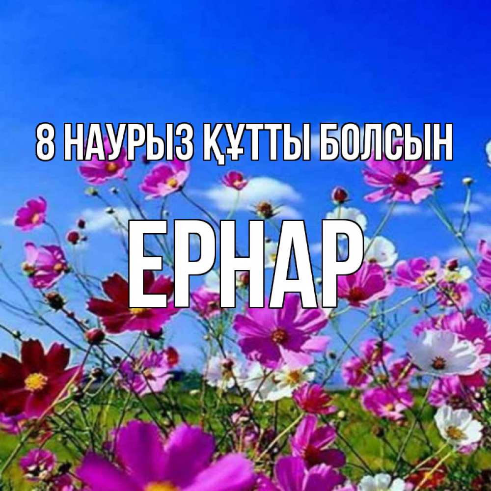 Күн сайын ашық хат с именем, Ернар 8 наурыз құтты болсын цветы Онлайн тегін жүктеп алу тілектері бар керемет карта 