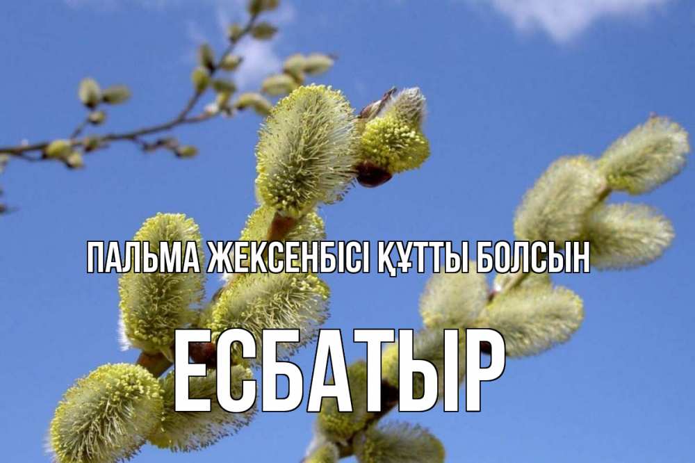 Күн сайын ашық хат с именем, Есбатыр Пальма жексенбісі құтты болсын верба Онлайн тегін жүктеп алу тілектері бар керемет карта 