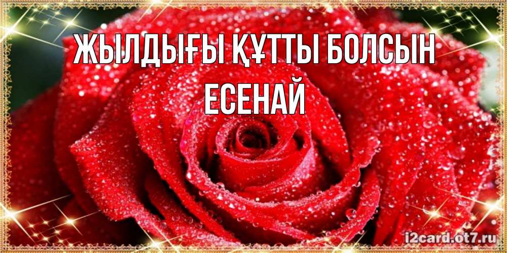 Күн сайын ашық хат с именем, Есенай Жылдығы құтты болсын роса и роза. открытка с красивой розой Онлайн тегін жүктеп алу тілектері бар керемет карта 