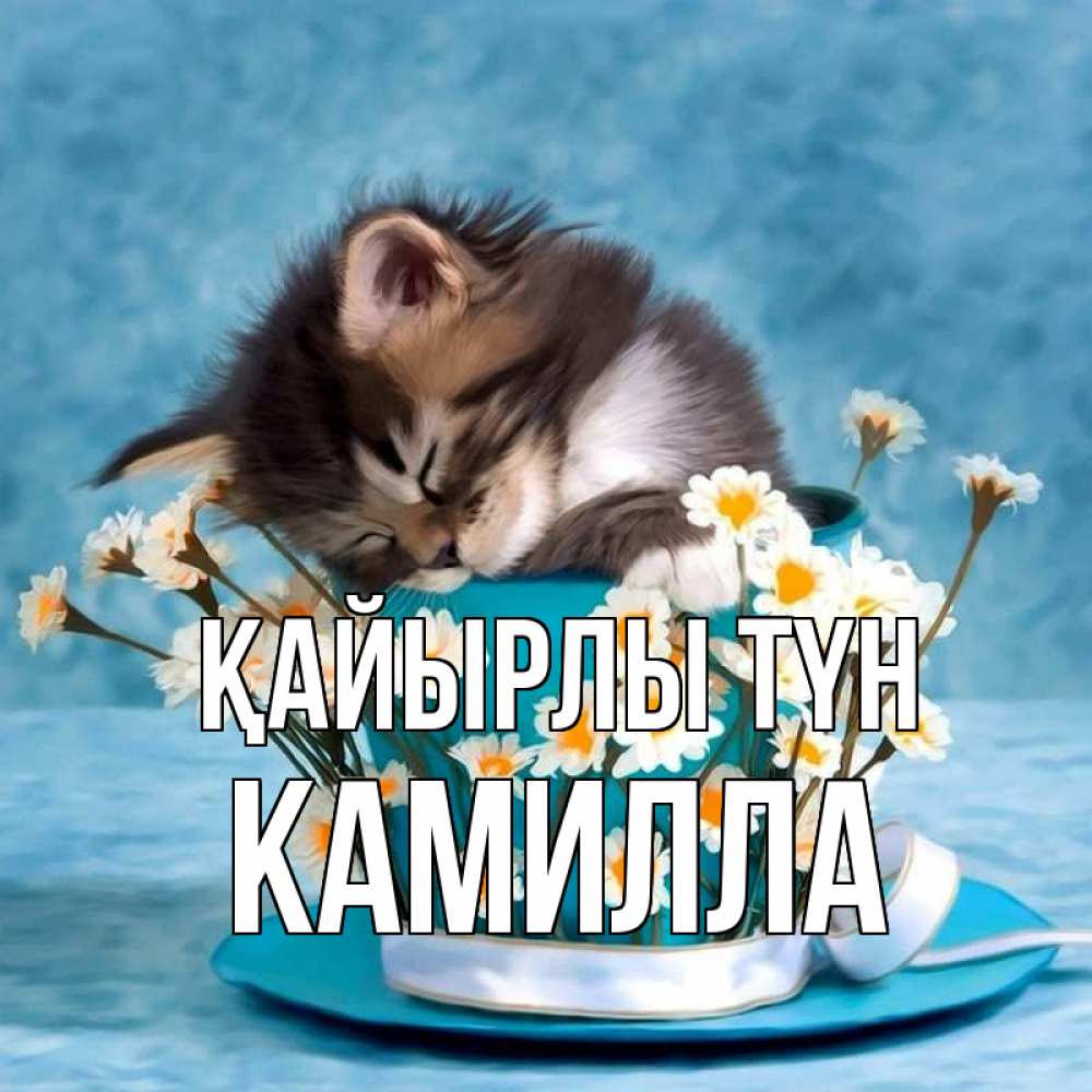 Күн сайын ашық хат с именем, Камилла Қайырлы түн котенок спит в кружке с блюдцем Онлайн тегін жүктеп алу тілектері бар керемет карта 