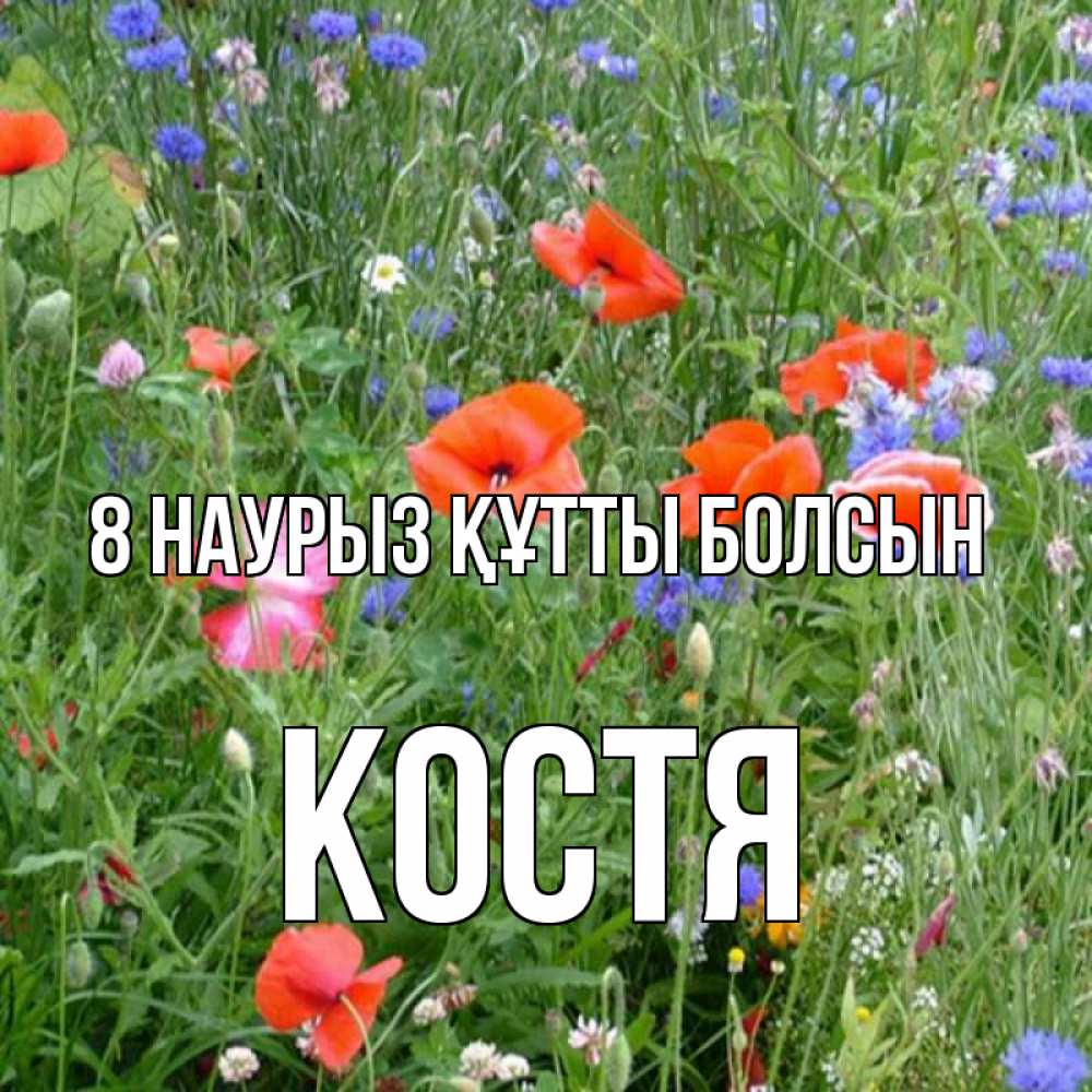 Күн сайын ашық хат с именем, Костя 8 наурыз құтты болсын международный женский день 4 Онлайн тегін жүктеп алу тілектері бар керемет карта 