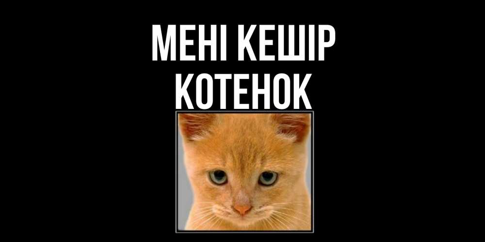 Күн сайын ашық хат с именем, Котенок Мені кешір рыжий грустный кот просит прощения Онлайн тегін жүктеп алу тілектері бар керемет карта 