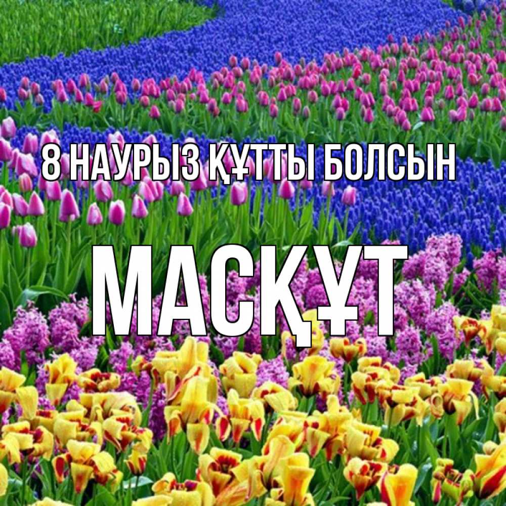 Күн сайын ашық хат с именем, МАСҚҰТ 8 наурыз құтты болсын цветы Онлайн тегін жүктеп алу тілектері бар керемет карта 
