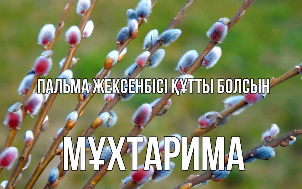 Күн сайын ашық хат с именем, МҰХТАРИМА Пальма жексенбісі құтты болсын верба Онлайн тегін жүктеп алу тілектері бар керемет карта 