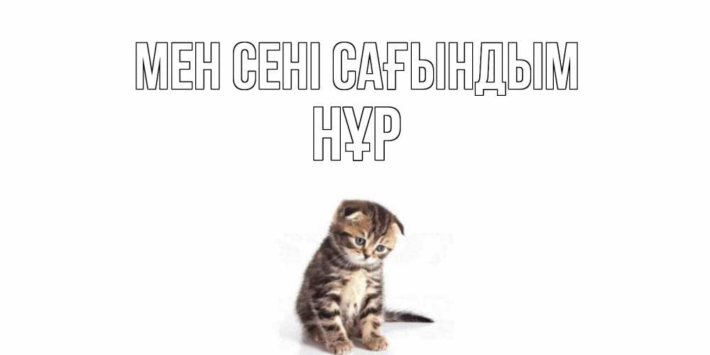 Күн сайын ашық хат с именем, НҰР Мен сені сағындым кот Онлайн тегін жүктеп алу тілектері бар керемет карта 