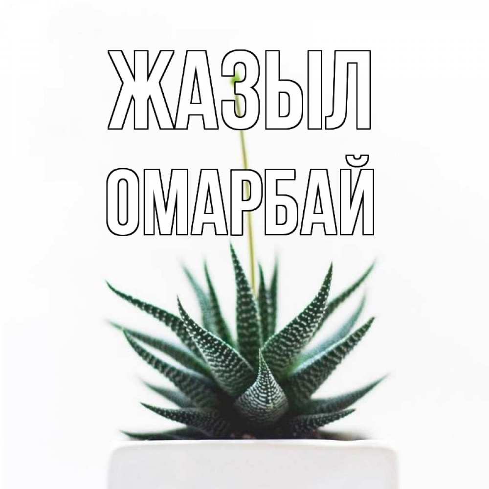 Күн сайын ашық хат с именем, ОМАРБАЙ Жазыл короче это непонятная колючка Онлайн тегін жүктеп алу тілектері бар керемет карта 