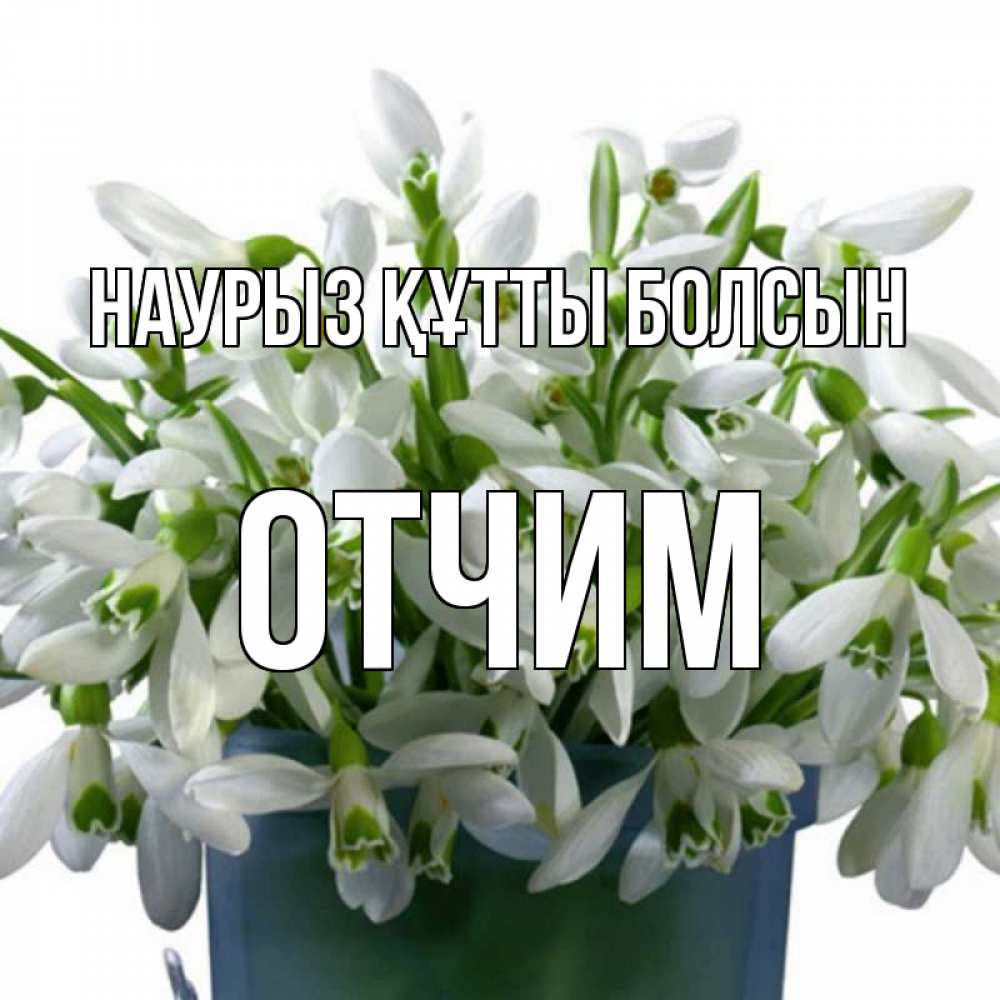 Күн сайын ашық хат с именем, Отчим Наурыз құтты болсын цветы к наурызу Онлайн тегін жүктеп алу тілектері бар керемет карта 