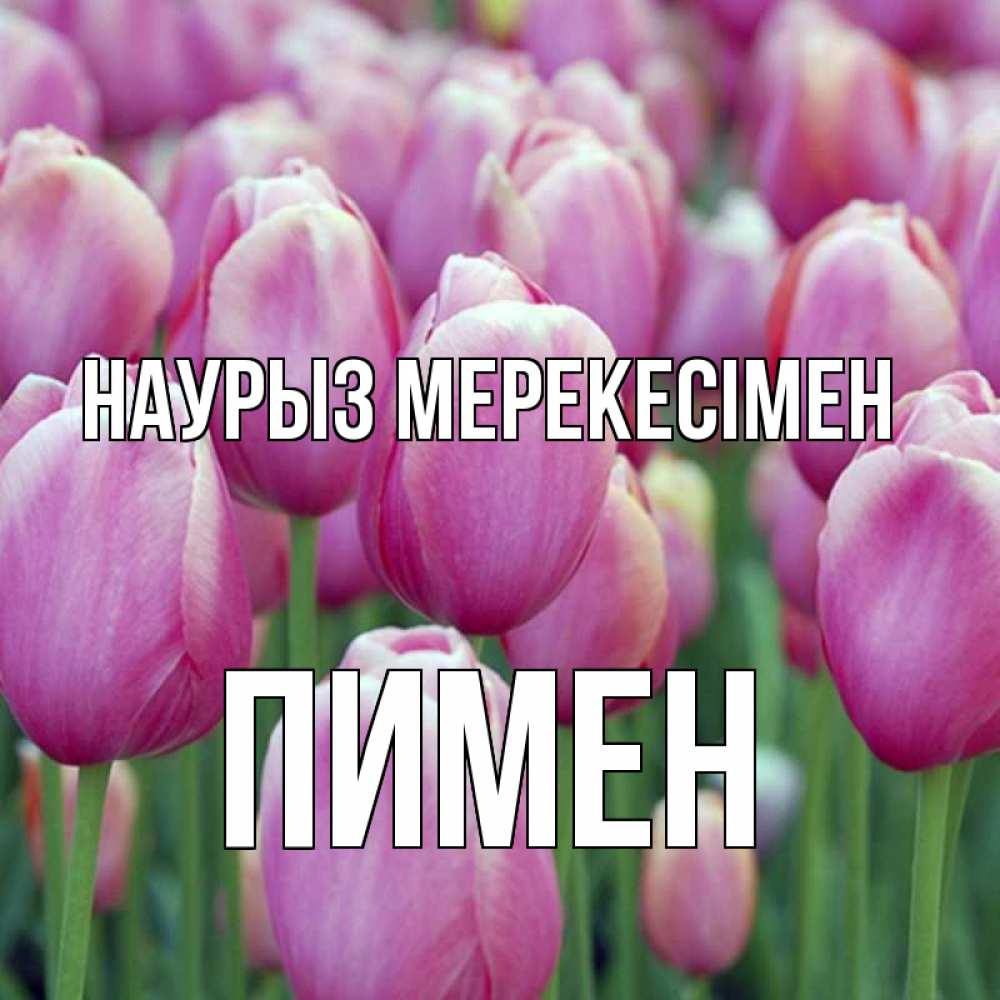 Күн сайын ашық хат с именем, Пимен Наурыз мерекесімен праздник весны наурыз 69 Онлайн тегін жүктеп алу тілектері бар керемет карта 